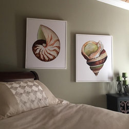 "Breakers Nautilus Shell" Fine Art Print - Fine Art Prints