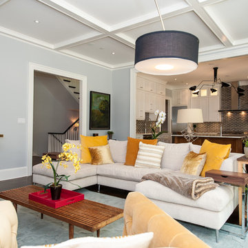 Bethesda, MD Transitional Contemporary Custom House
