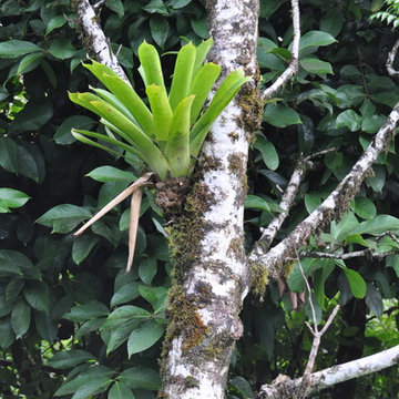 Costa Rica Travel