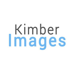 Kimber Images