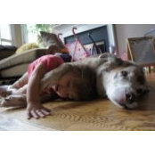 Joanna Levine's photo
