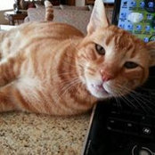 Gloria DeGeorge's photo