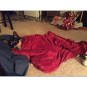 Mary Dosek's photo