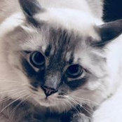 Kristin LaCroix's photo