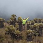 Catalina Bauer's photo