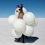 Danii Kessjan's photo