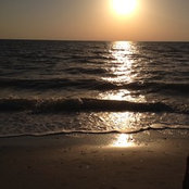 Michele Rannebarger's photo