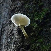 Foto von Doreen Becker