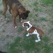 Steve N Sandy Burkett's photo