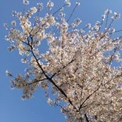 Foto von Wan-ching Wu