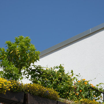 Hinterhofensemble in Köln