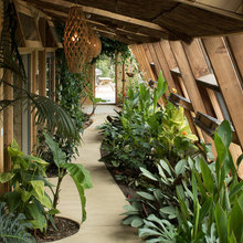 Plants/Gardens/Landscapes