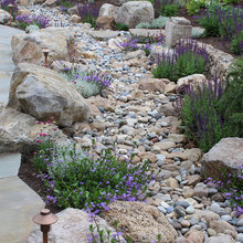 irrigation
