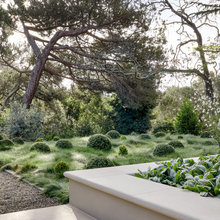 landscape designer