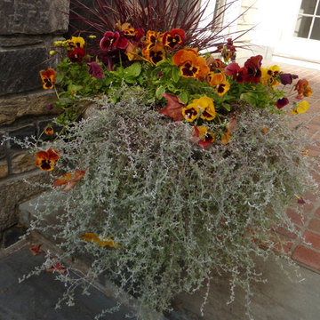 Fall Container Design