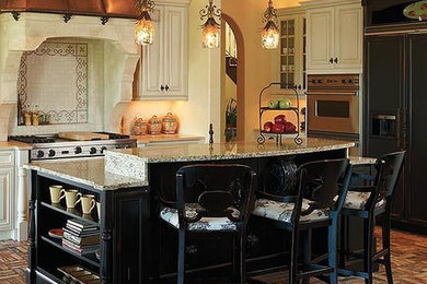 Kitchen - traditional kitchen idea in Other