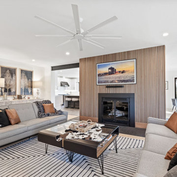 Mid Century Modern, Modernized