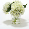 Waterlook® White Hydrangeas in Glass Cylinder