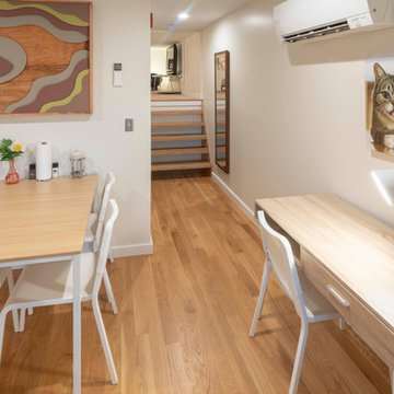 Lil Bub's Really Nice Apartments