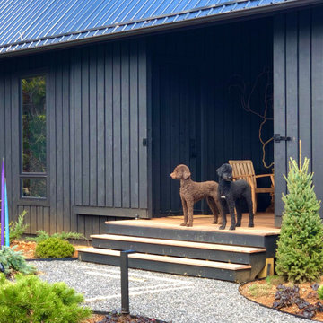 Dogtrot... with dogs!