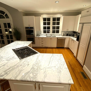 Charlotte Kitchen Remodel - Calacatta Waimea Marble