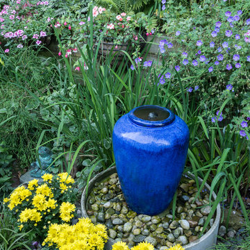 Small space- Big Impact Garden