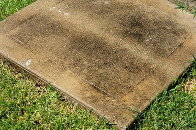 Before and After Concrete Pressure Washing