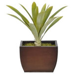 House of Silk Flowers, Inc. - Artificial Yucca Grass in Small Gloss Brown Zinc - This contemporary artificial yucca grass is handcrafted by House of Silk Flowers. This plant will complement any decor, whether in your home or at the office. A professionally-arranged yucca grass is securely "potted" in a gloss brown zinc pot (7 1/2" x 4" x 5 3/4" tall). It is arranged for 360-degree viewing. The overall dimensions are measured leaf tip to leaf tip, bottom of planter to tallest leaf tip: 14" tall x 12" diameter. Measurements are approximate, and will be determined by your final shaping of the plant upon unpacking it. No arranging is necessary, only minor shaping, with the way in which we package and ship our products. This item is only recommended for indoor use.