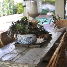 Plant Display