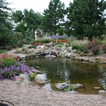 Koi Ponds and Water Gardens