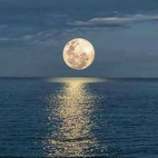Fran Purcell-Abbott's photo