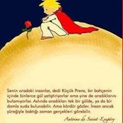 Foto von Hamit Kunt