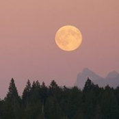 Foto von Dale Streeter