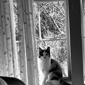 Jillene Schmidt's photo