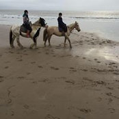 Jen Hamley's photo
