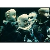 Elizabeth Vine's photo