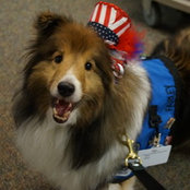 Foto von farleypup