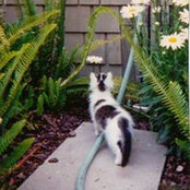 Beverly Bass's photo