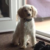 Barb Melanson's photo