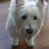 Lynn Gallagher's photo