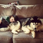Anthony Messina's photo