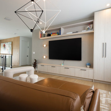 Modern Architectural Millwork Feature TV Unit storage