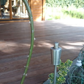Terrasse in Kebony