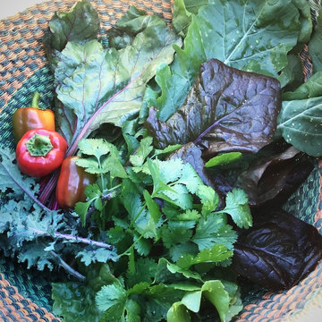 Edible Landscapes