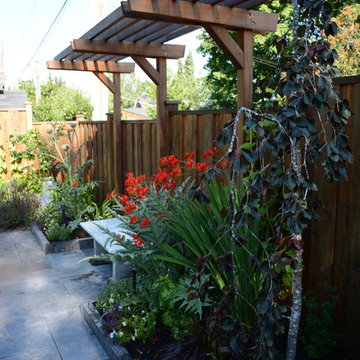 Raised Vegetable / Ornamental Garden 2015