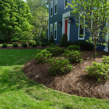 Landscape Ideas