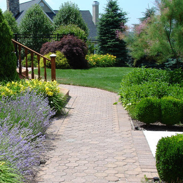 Daylilies, Catmint, Boxwood
