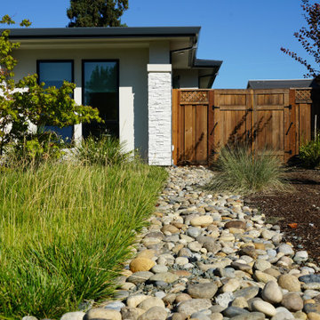 Landscape Design & Build