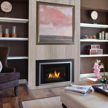 Gas Fireplace Inserts