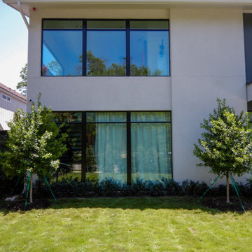 Evergreen Trees & Shrubs